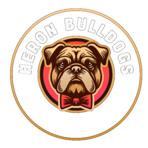 Heron bulldogs | English bulldogs puppies for sale